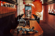 Skybox soccerclub AZ, Afas Stadion Alkmaar